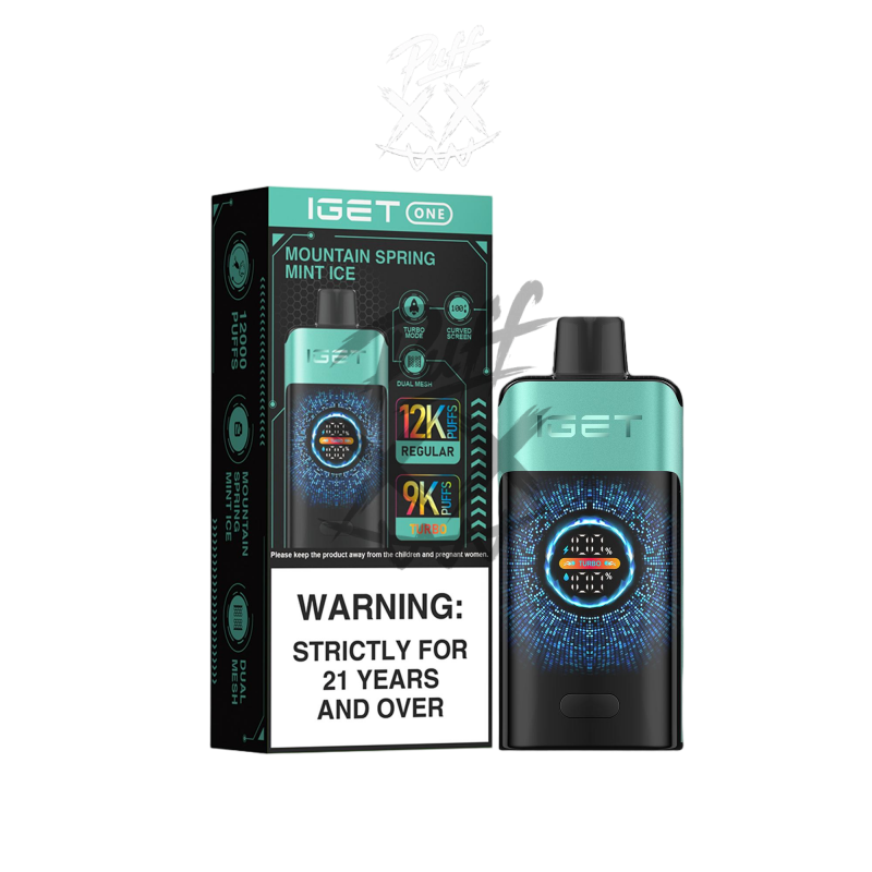 IGET One 12000 Puffs - Mountain Spring Mint Ice